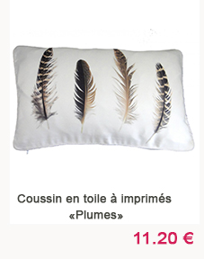 coussin Home Maison