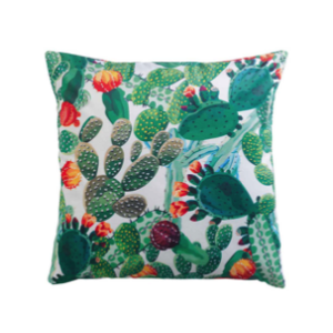 coussin cactus