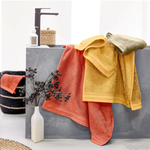 Lot de 2 serviettes de toilette en éponge