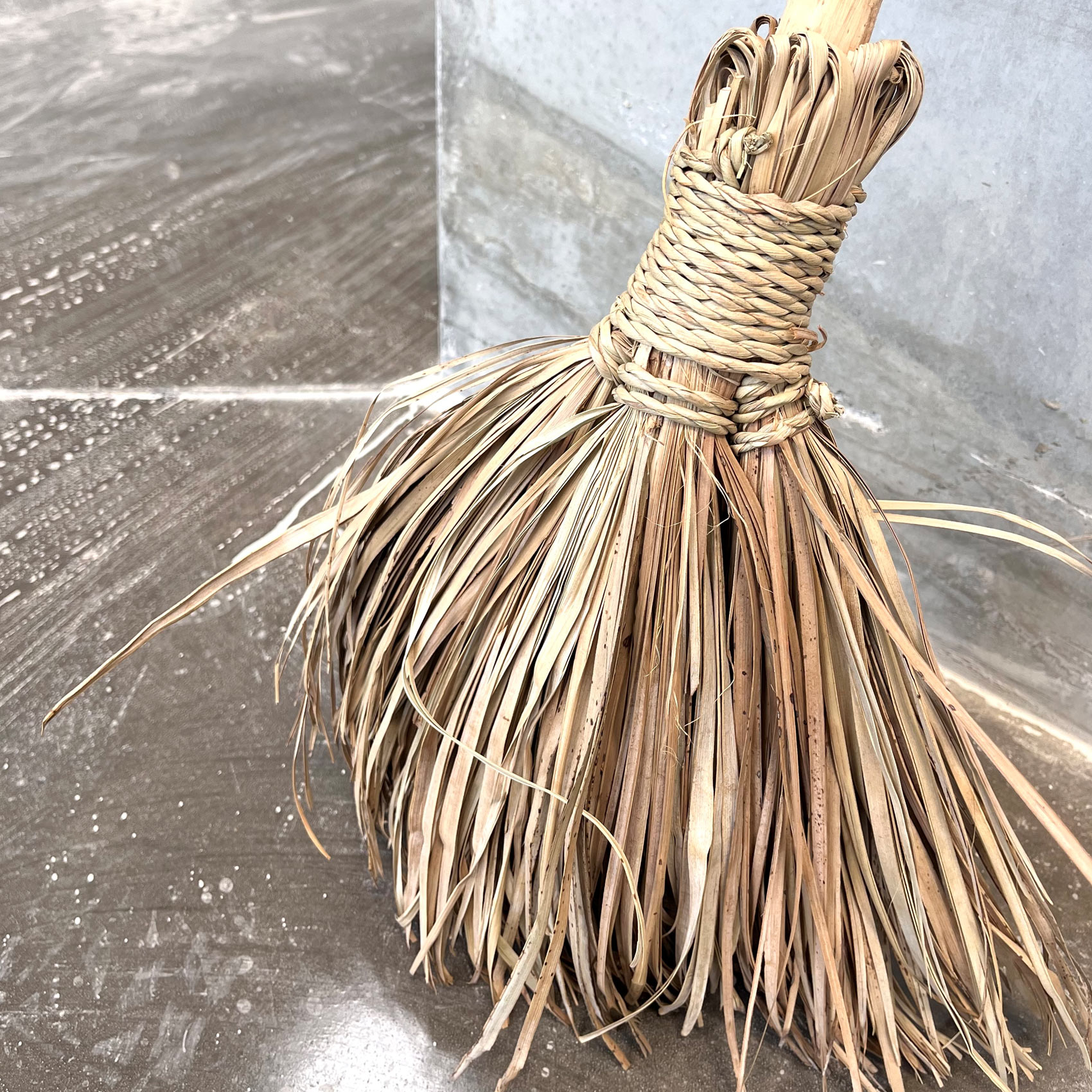 Balai extérieur canne et palmier — vue 3