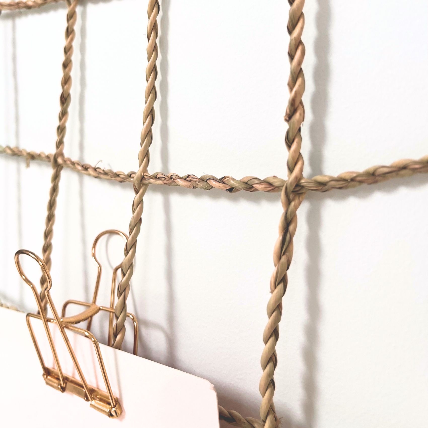 Pêle Mêle photos fibres végétales — vue 6