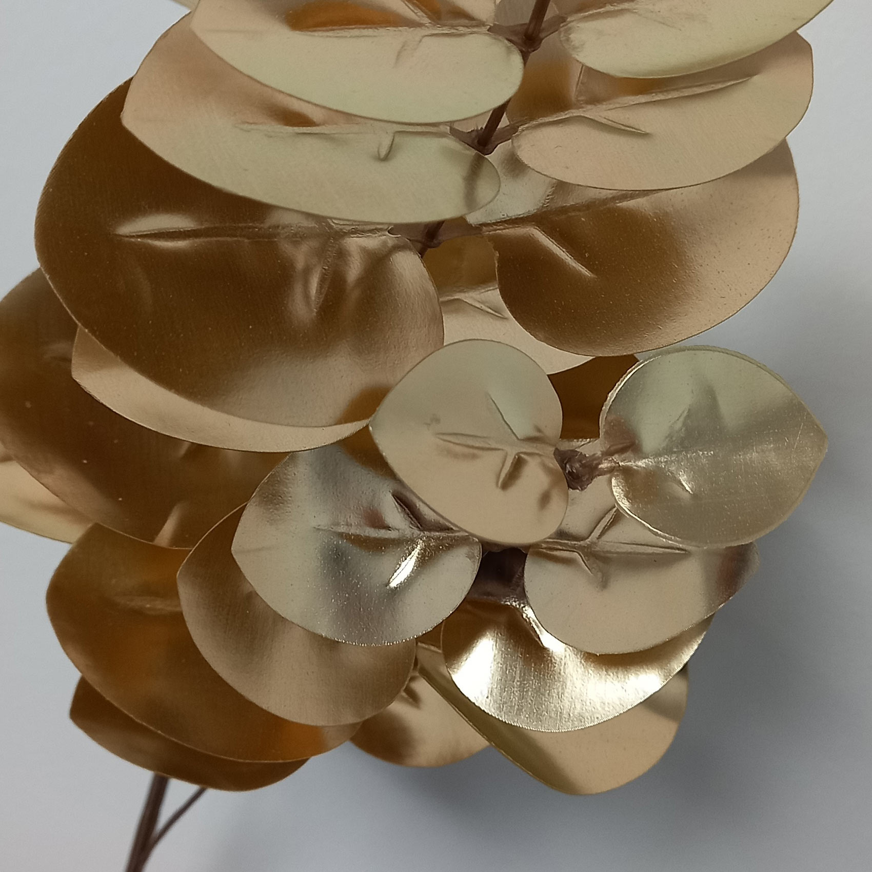 Branche d'eucalyptus dorée — vue 3