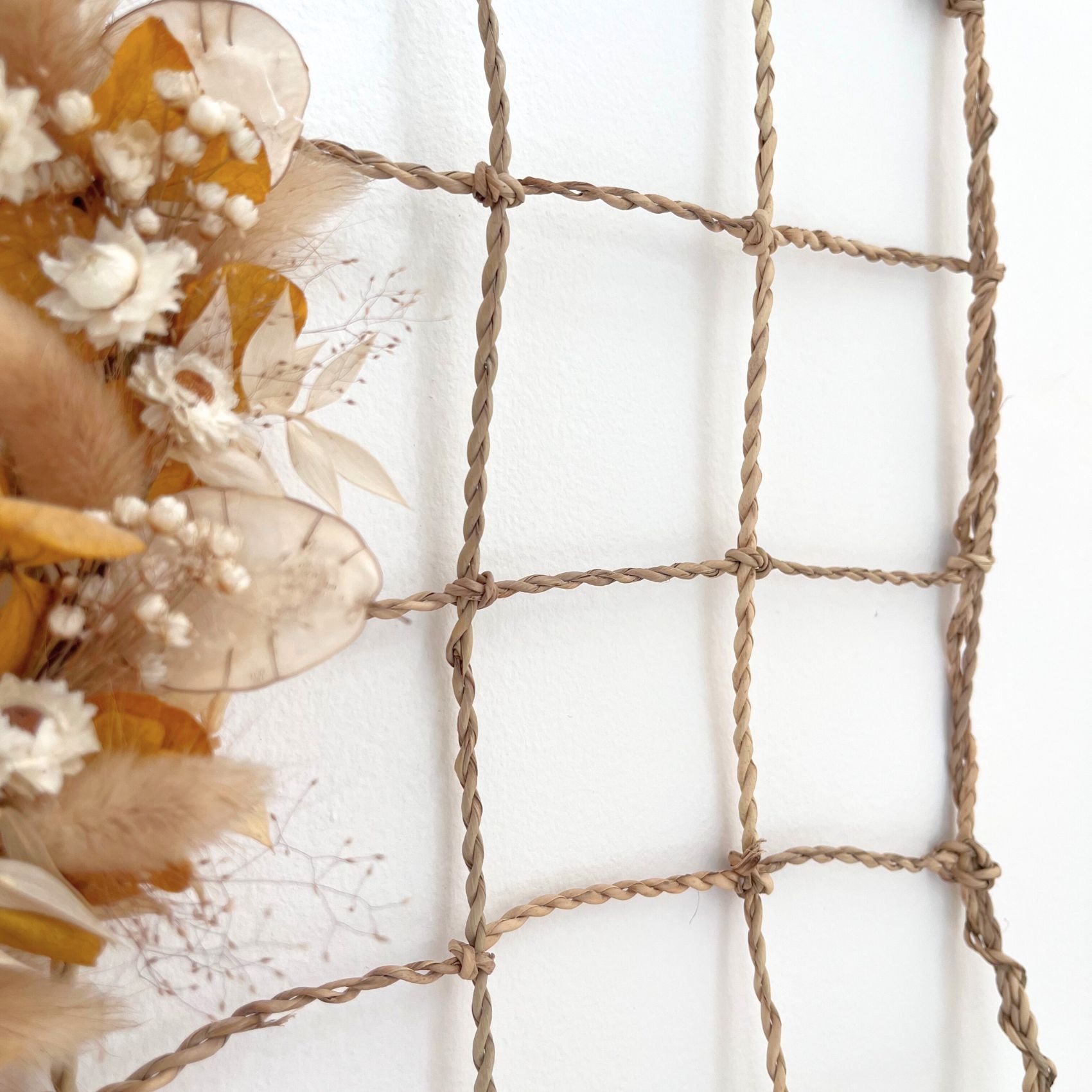 Pêle Mêle photos fibres végétales — vue 3