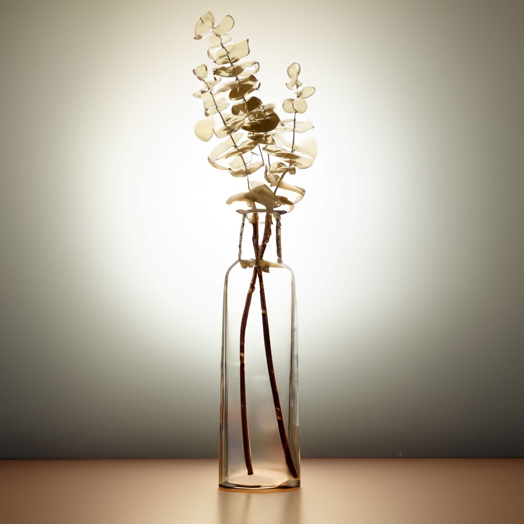 Branche d'eucalyptus dorée — vue 4