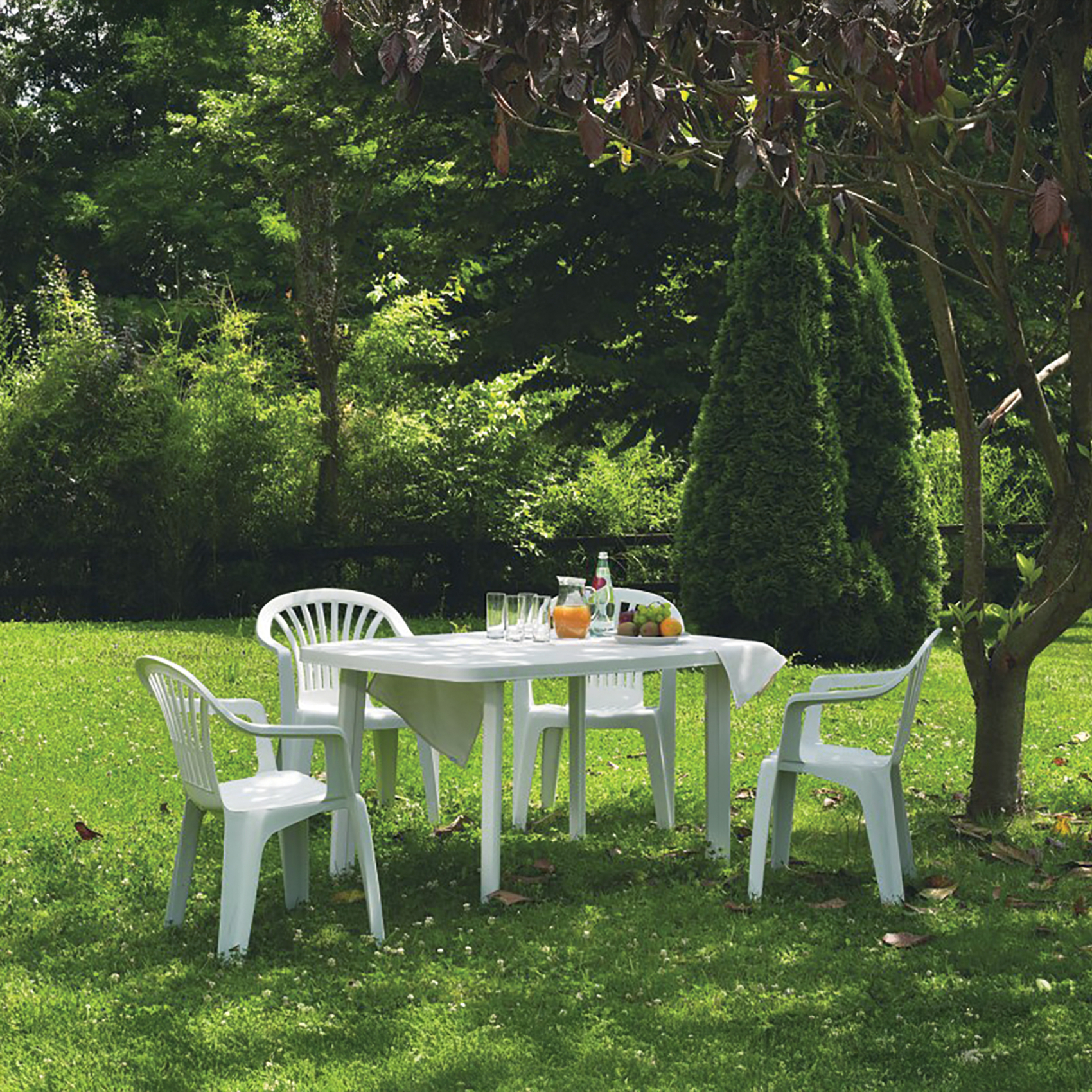 Salon de jardin en résine – Table ovale et 4 fauteuils