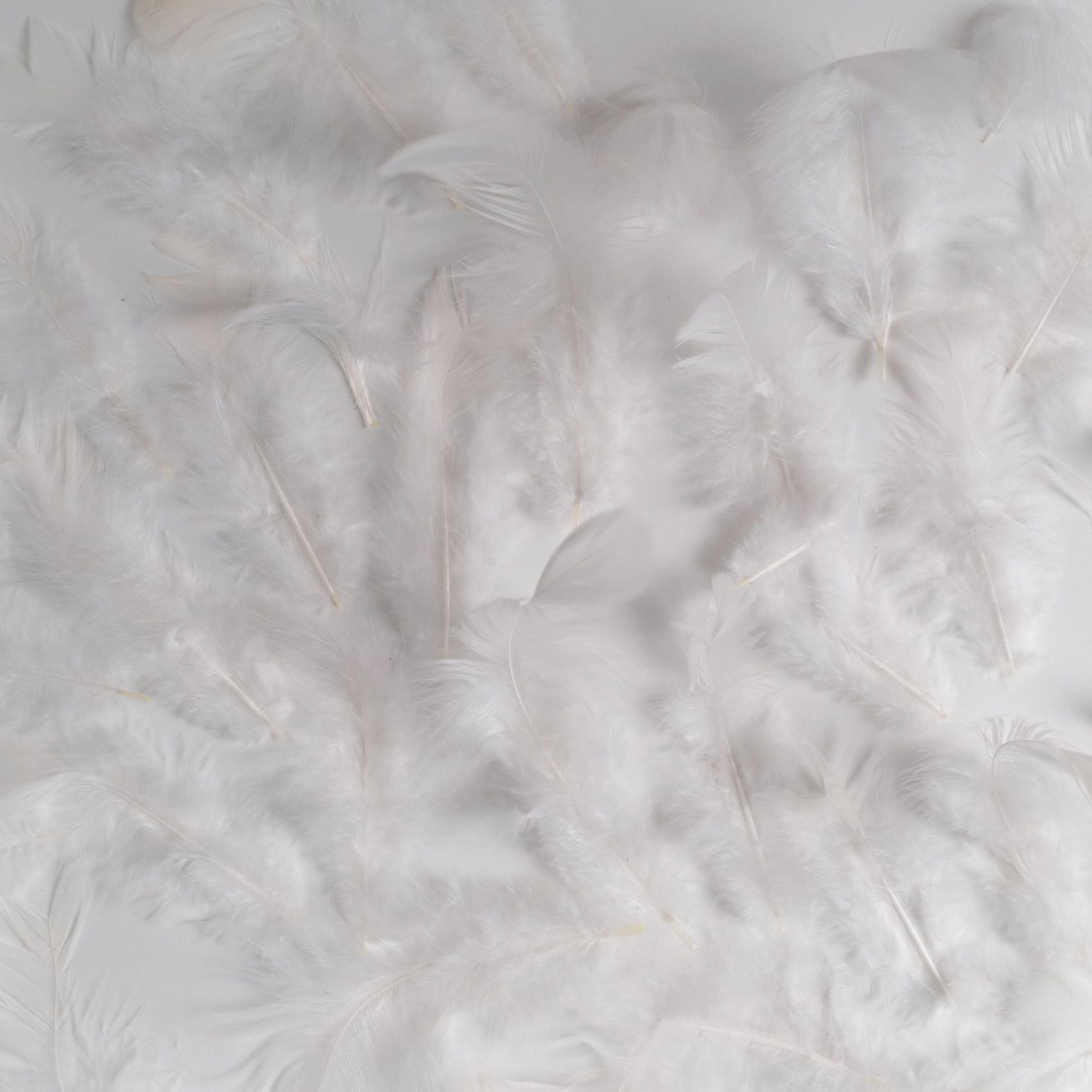 Boa ou guirlande en plumes — vue 3