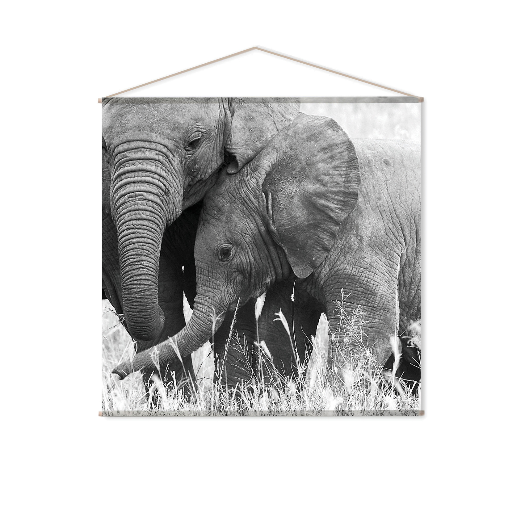 Toile murale ELEPHANT — vue 3