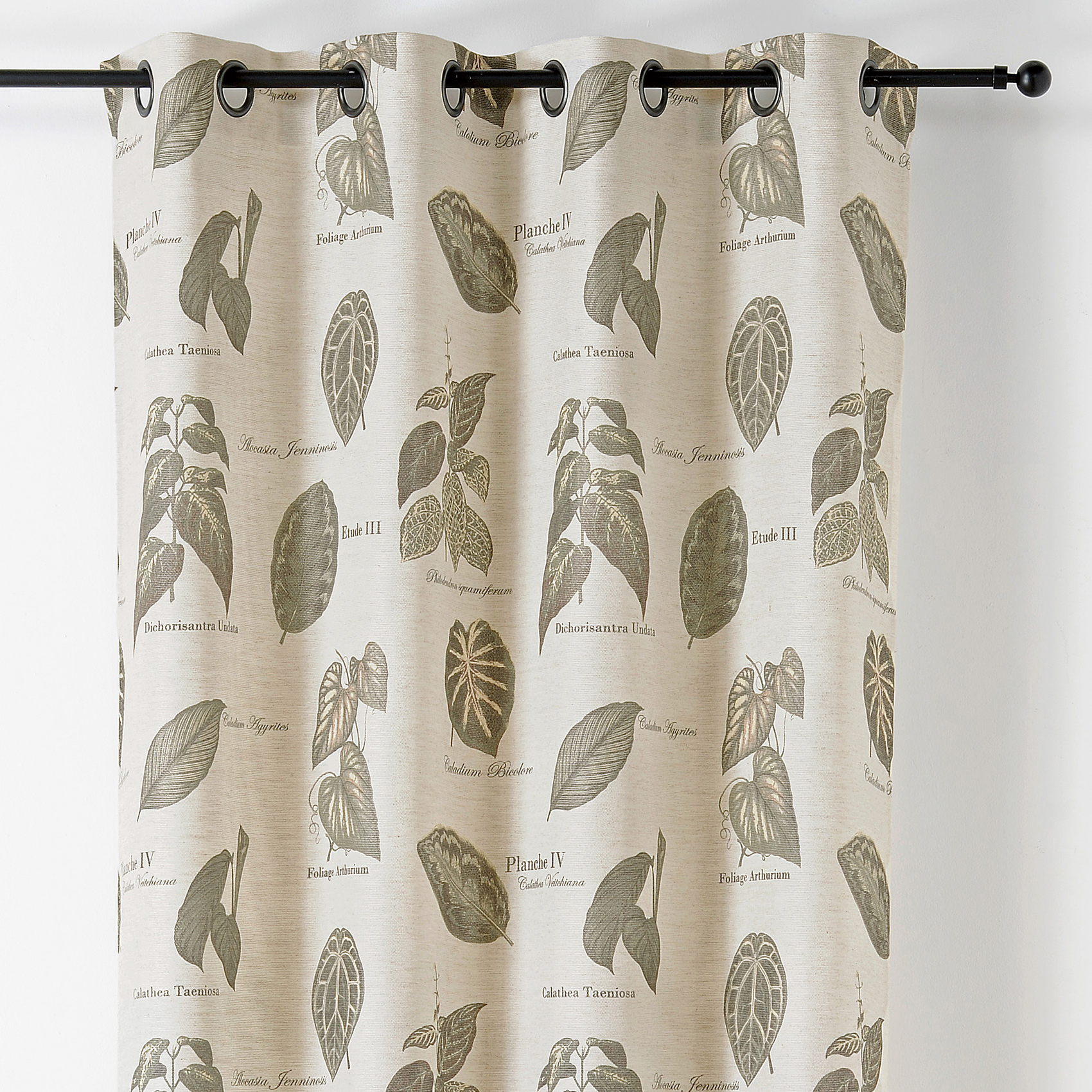 Rideau à Oeillets Botanique Vintage — vue 3