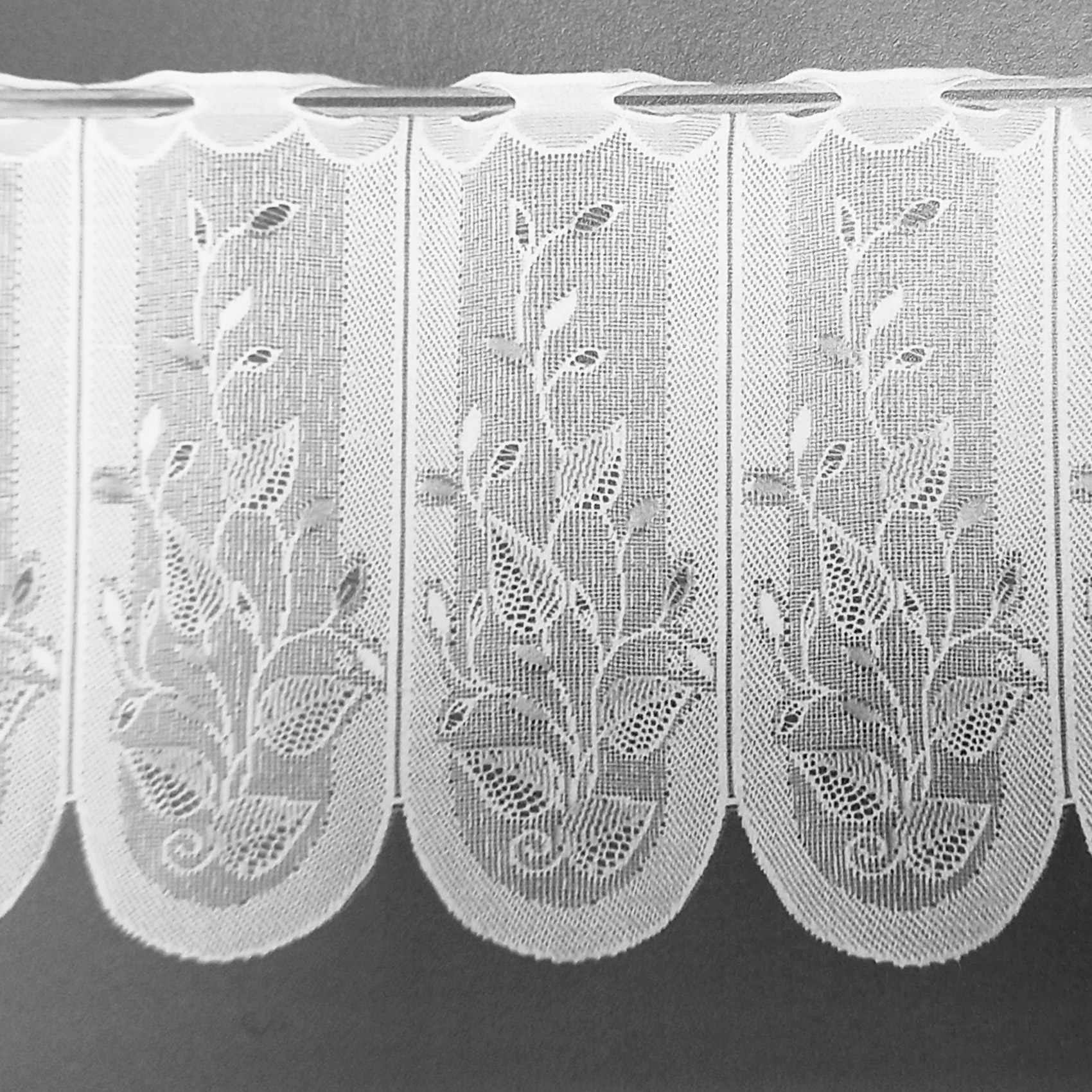 Brise bise à feuillages