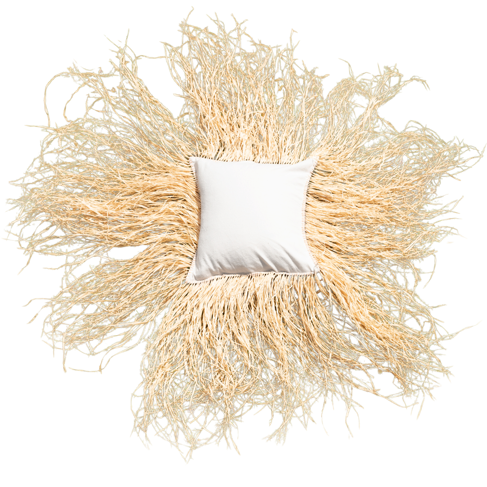 Housse de coussin déco avec franges en raphia