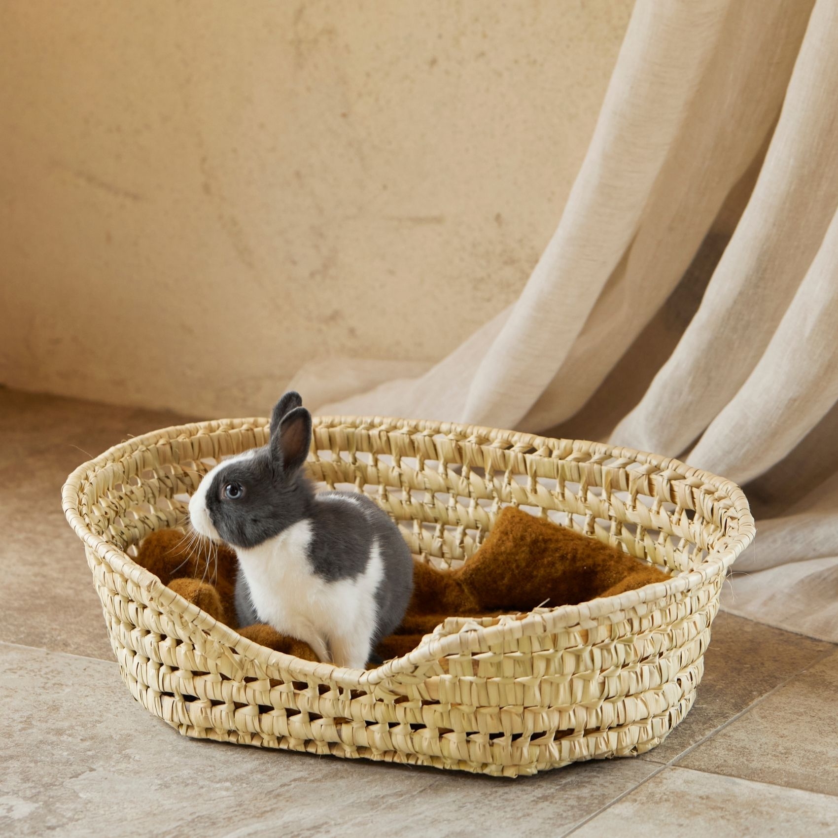 Panier Osier pour petit chien — vue 4