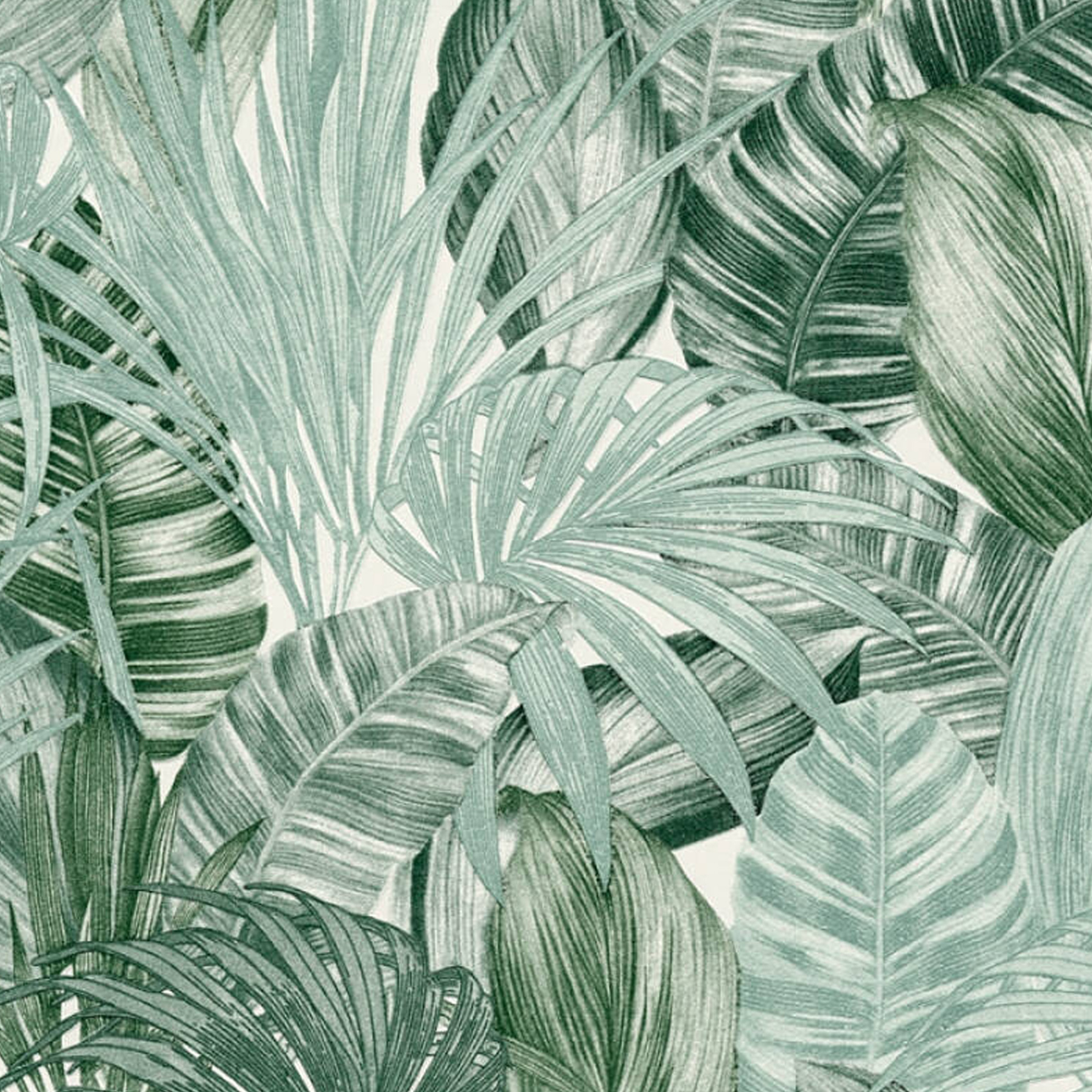 Papier peint tropical jungle — vue 3