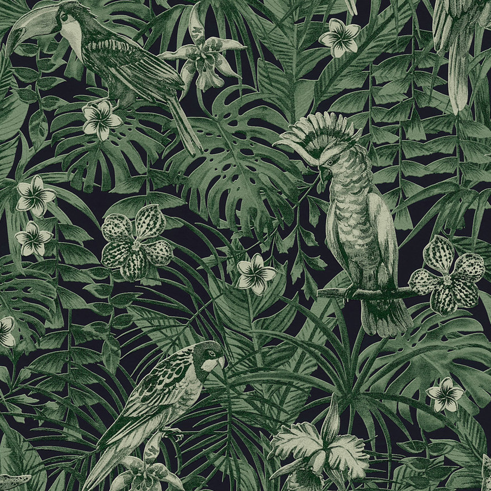 Papier peint imprimé cacatoes jungle