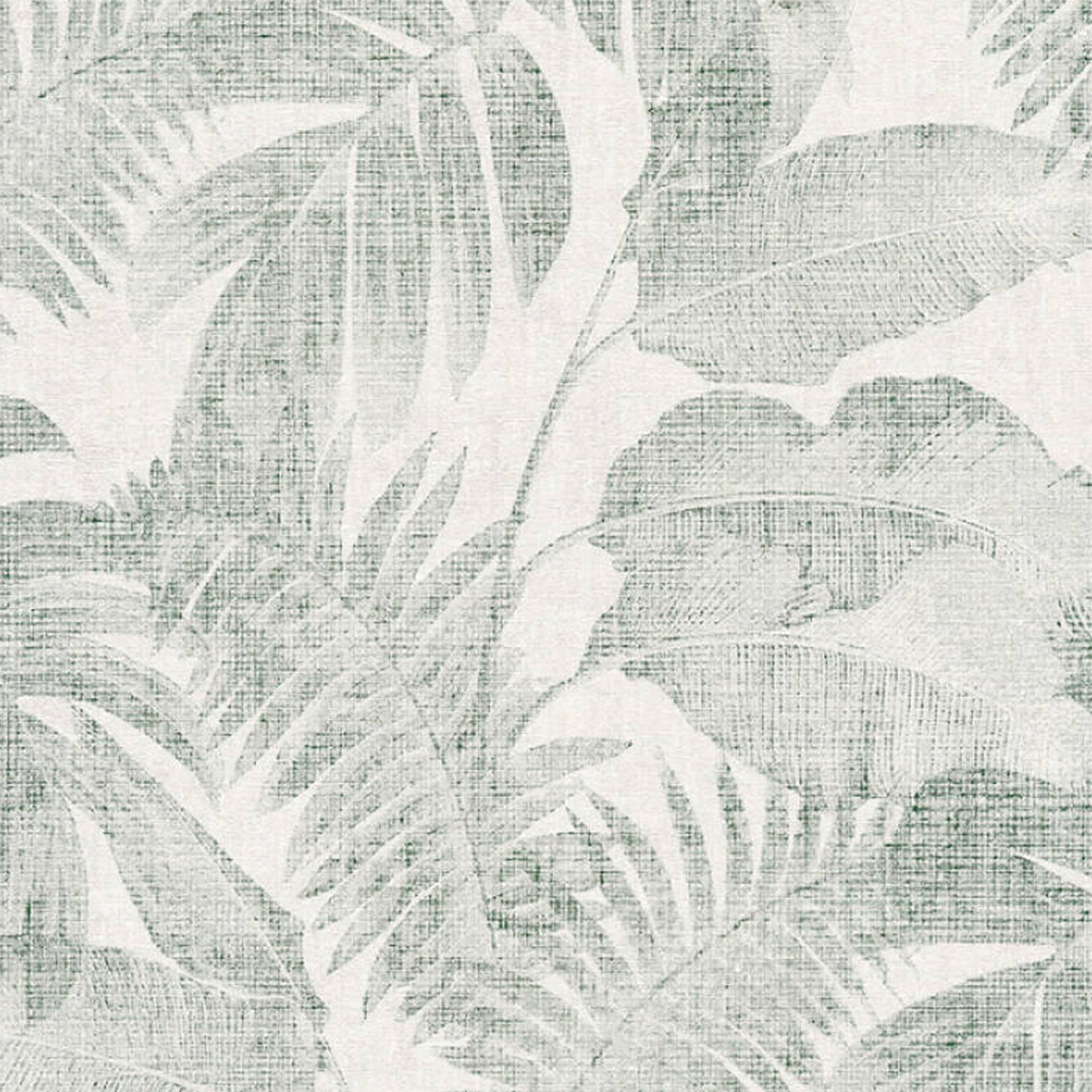 Papier peint jungle tropicale — vue 5
