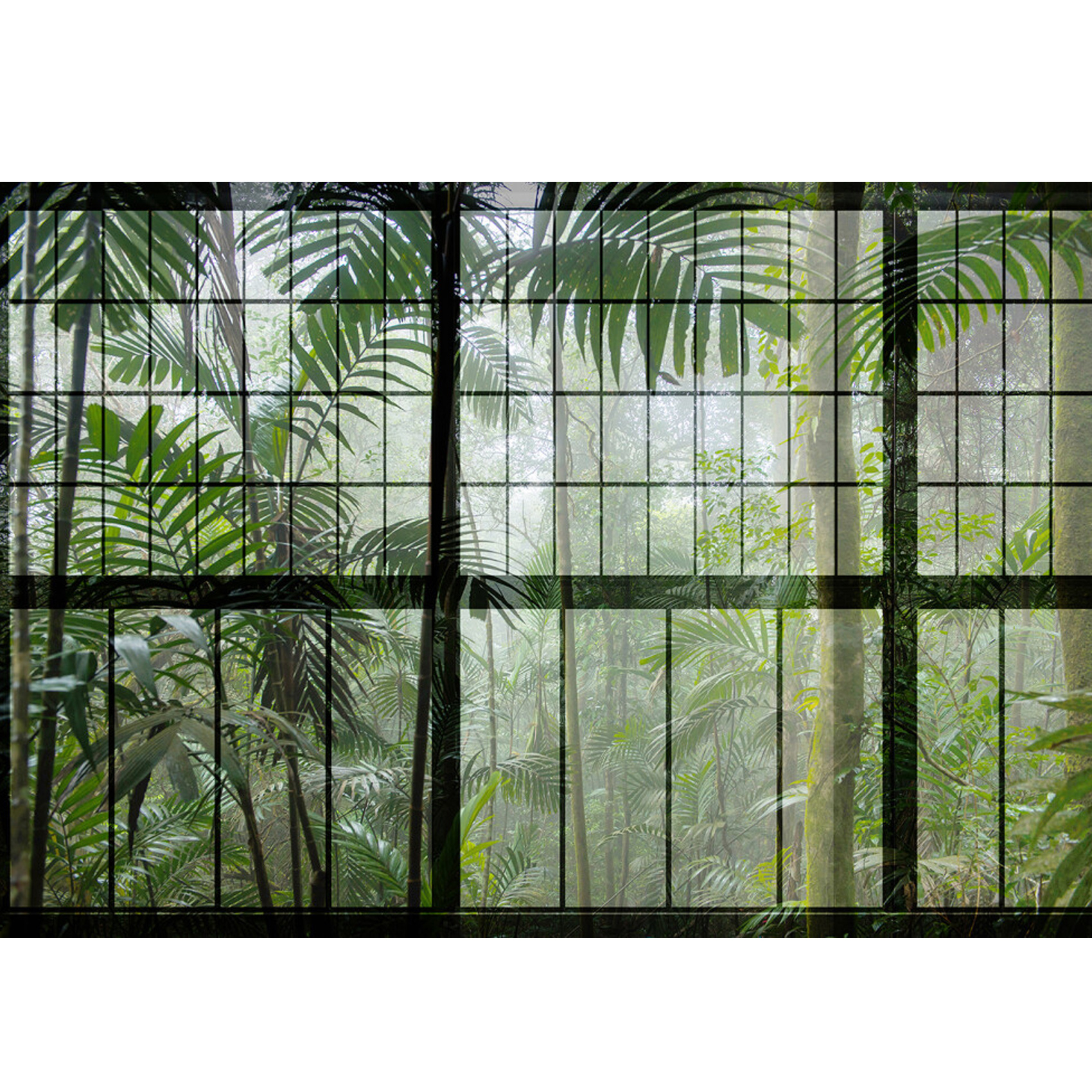 Vue panoramique Rainforest — vue 3