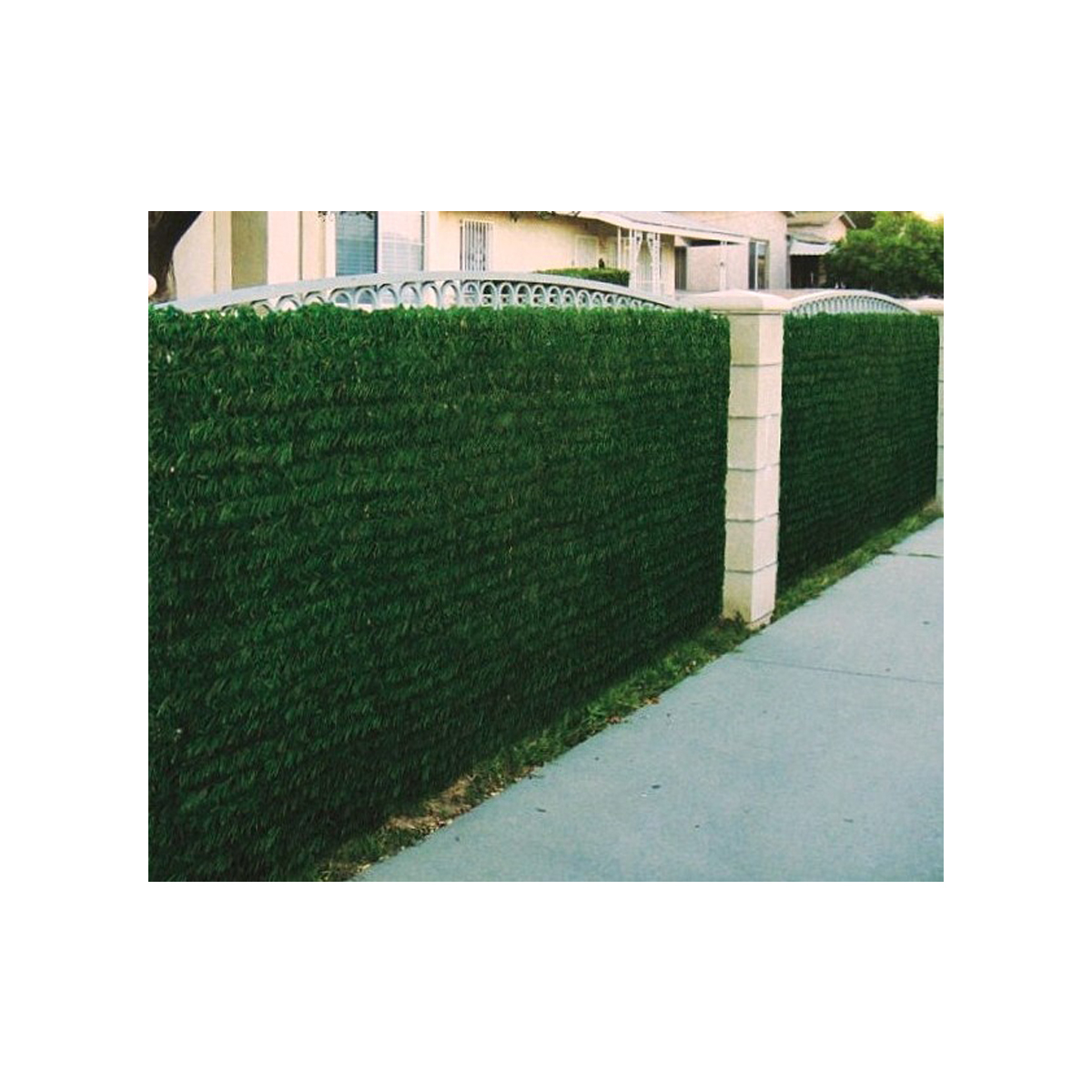 Haie LUX-2R 140 brins JET7GARDEN