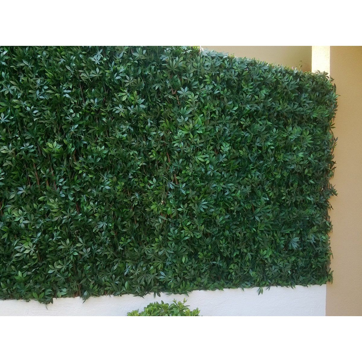 Treillis feuilles de vigne vertes JET7GARDEN