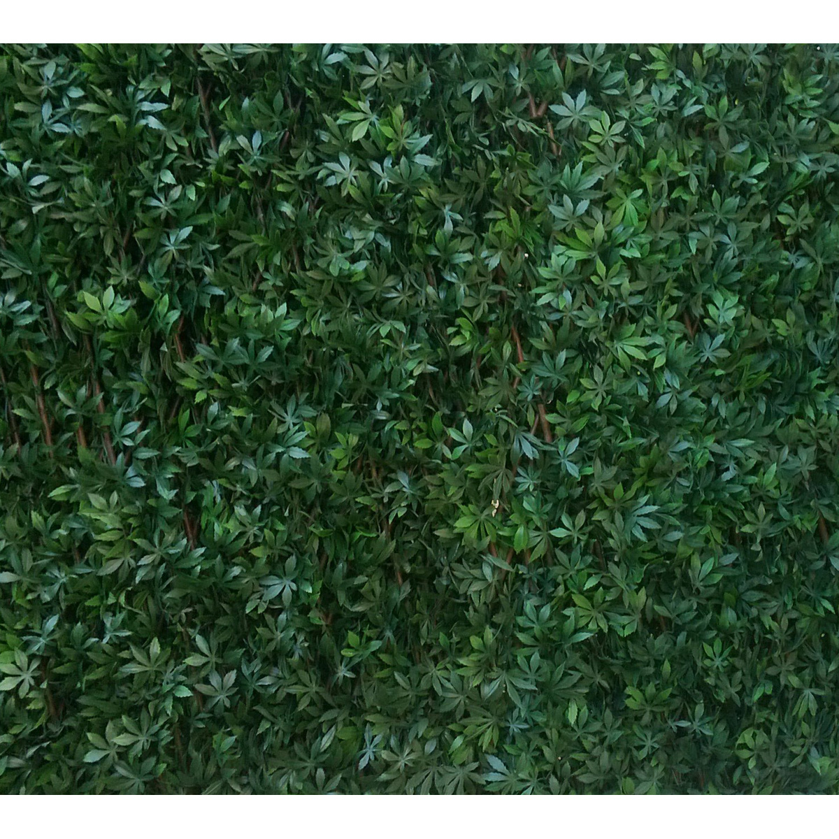 Treillis feuilles de vigne vertes JET7GARDEN — vue 3