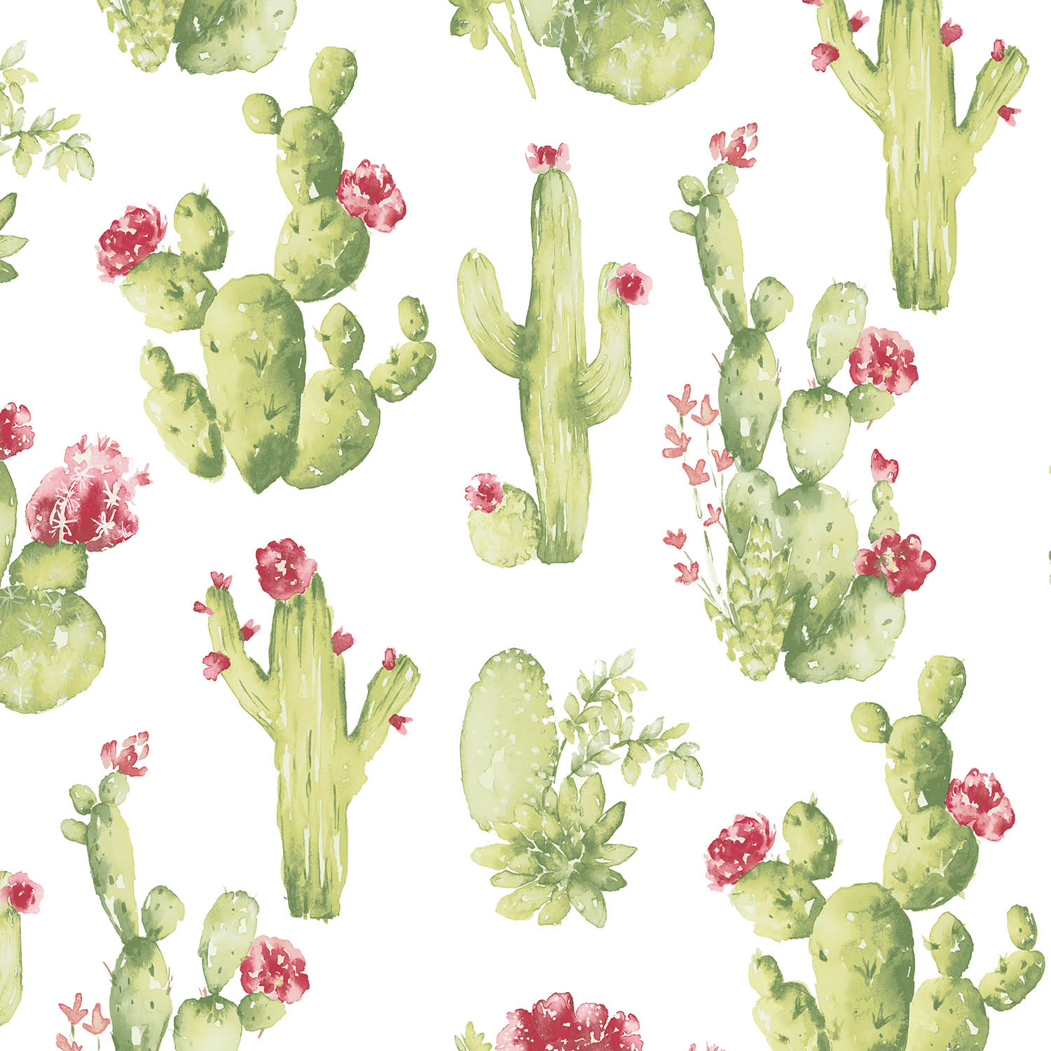 Papier peint cactus — vue 3