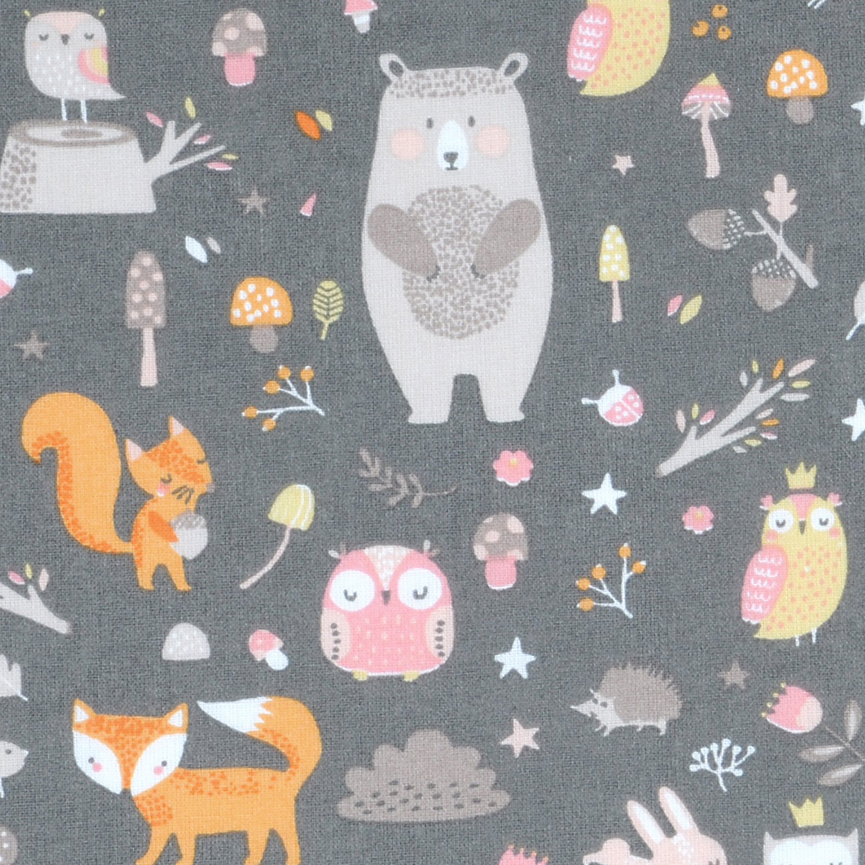 Lot de 5 coupons kids petits renards — vue 4