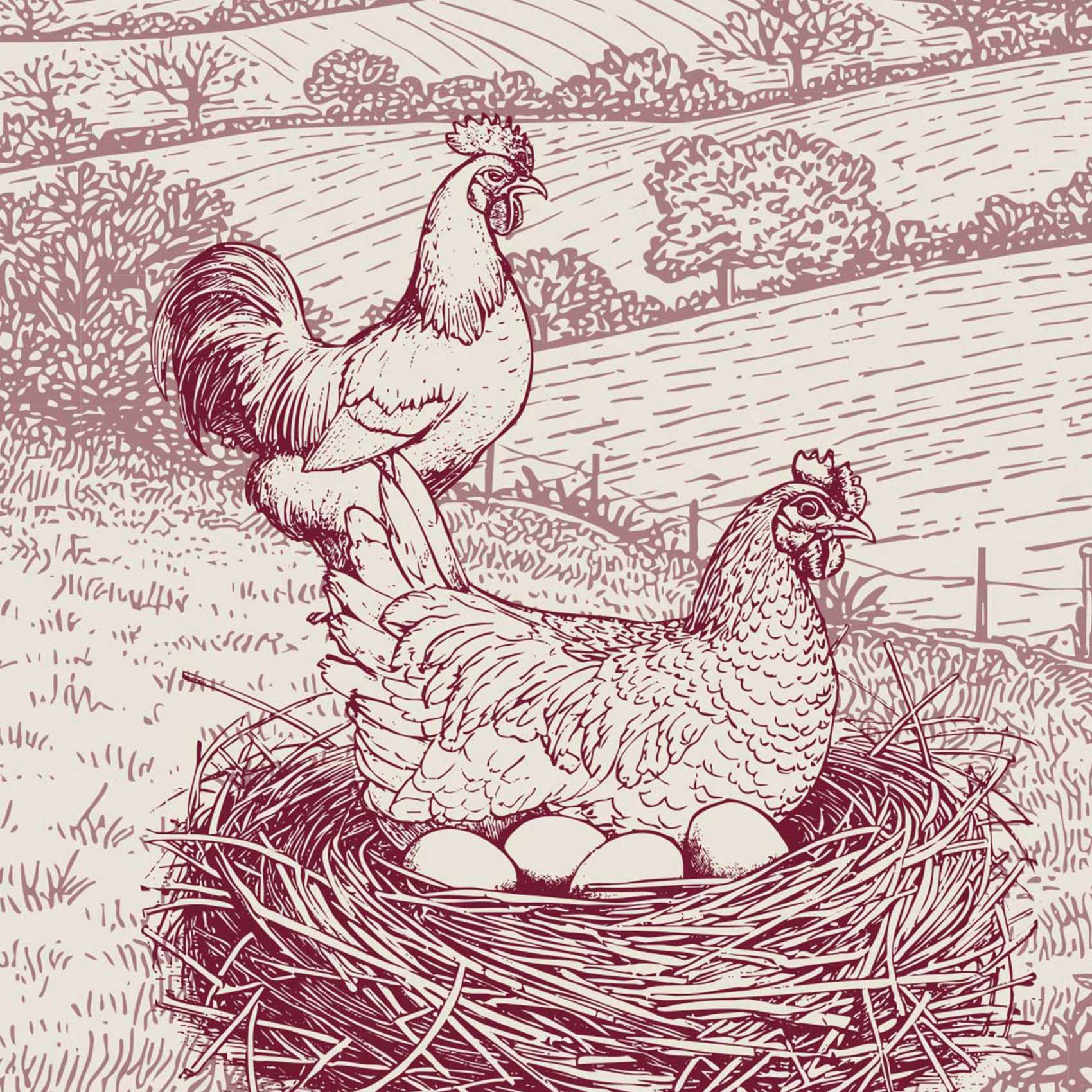 Torchon en coton poule campagne — vue 3