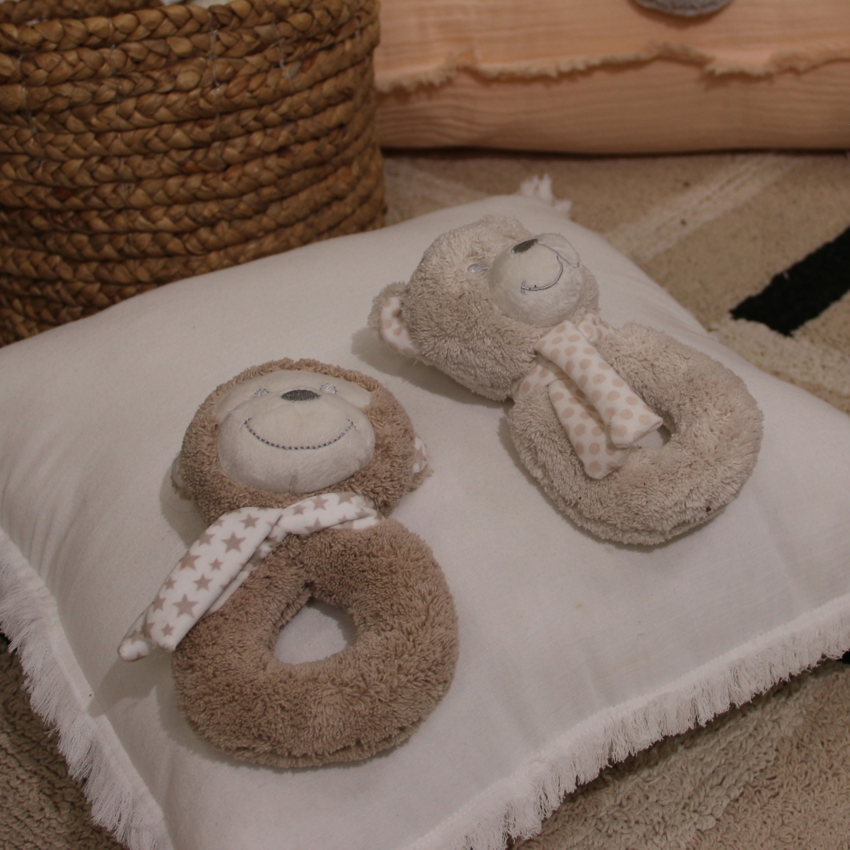 Hochet singe — vue 3