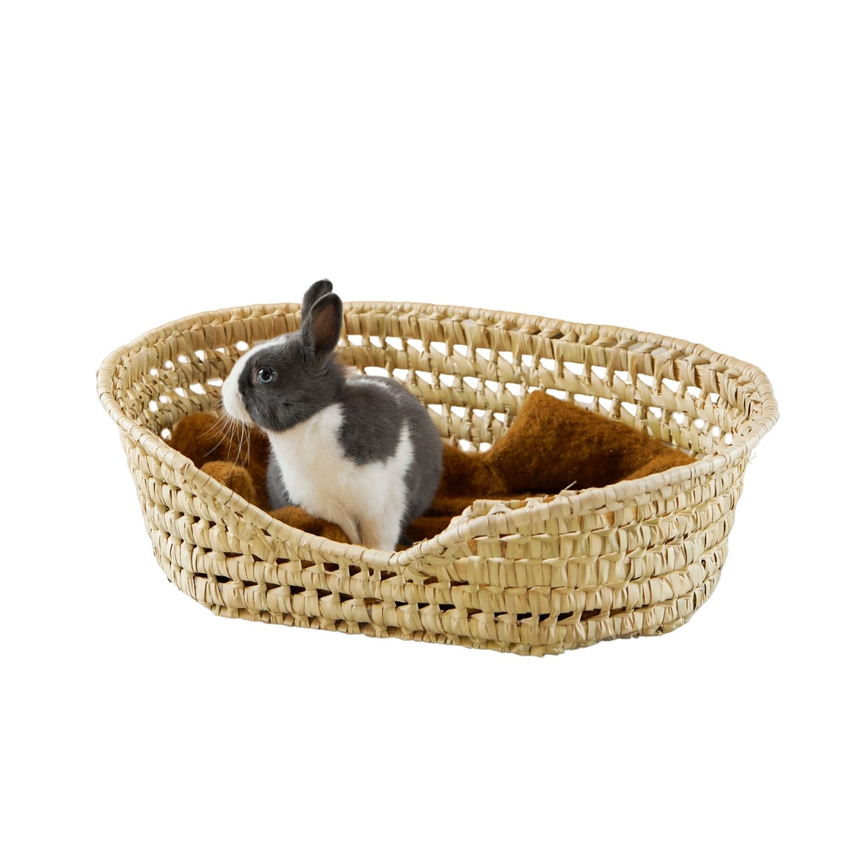 Panier Osier pour petit chien