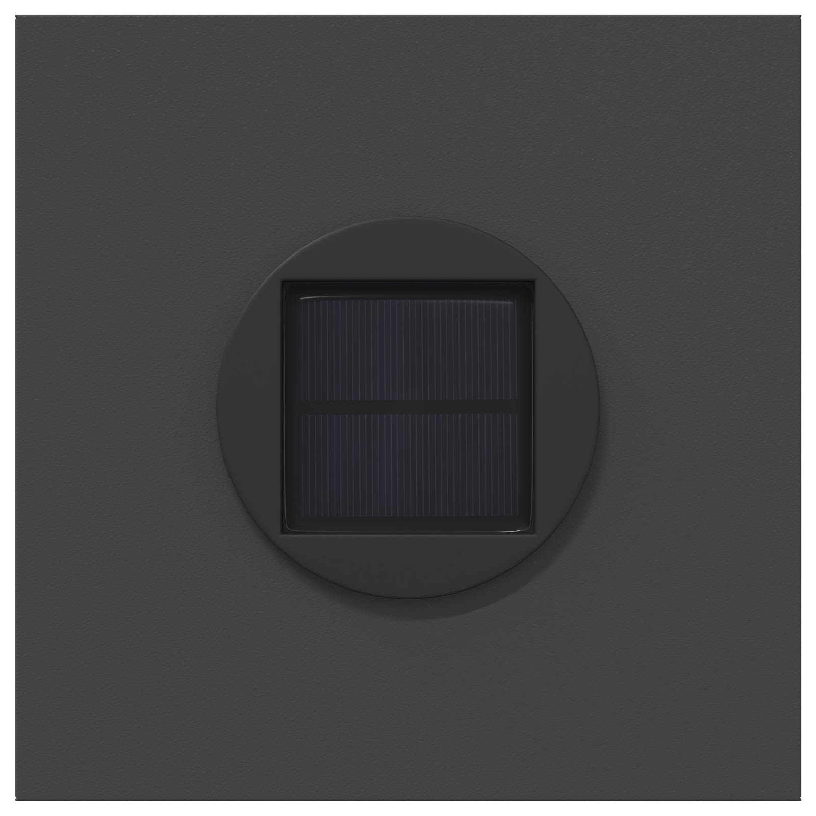 Lot de 2 lampes de chemin solaire LED extérieur végétal — vue 6