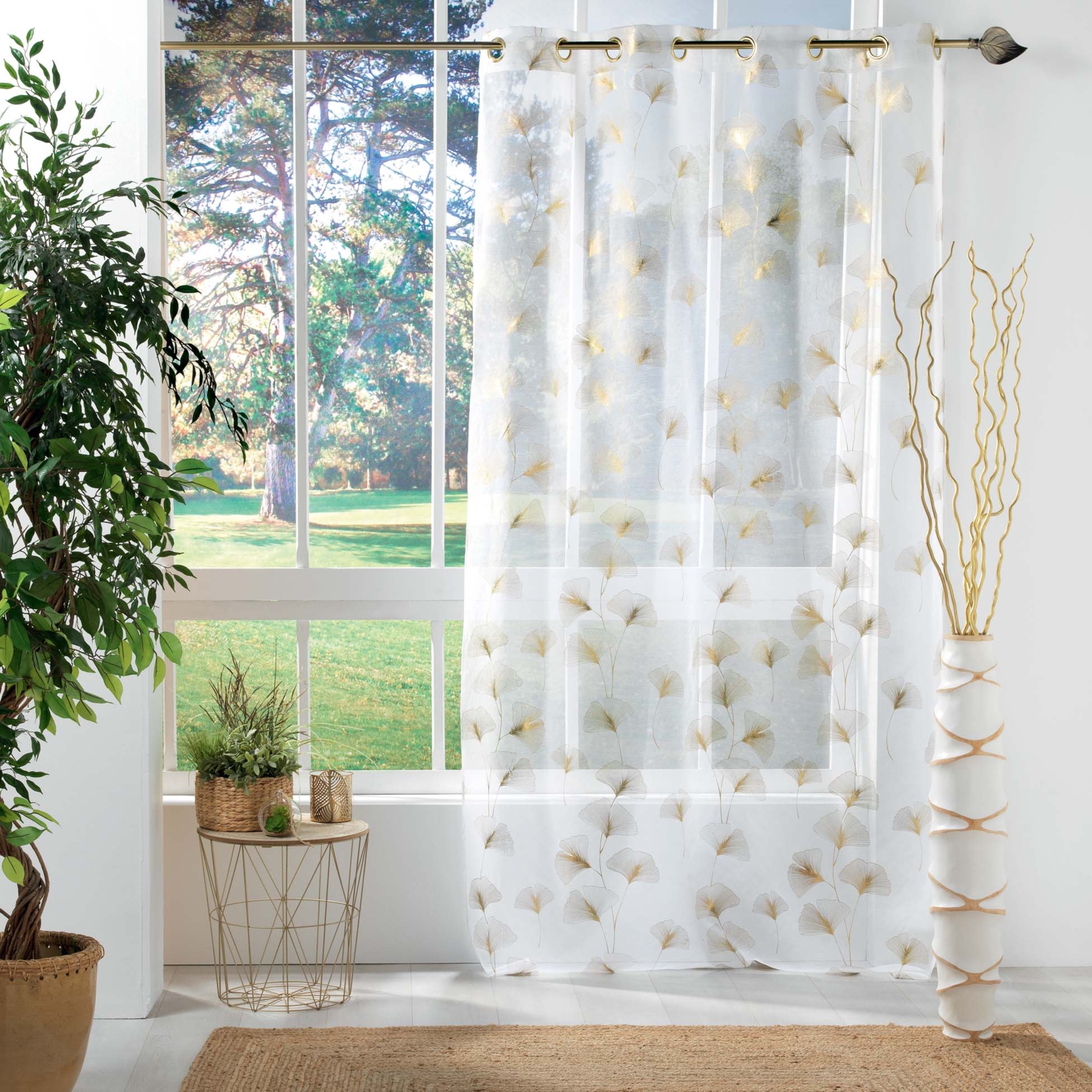 Voilage blanc et ginkgo  doré