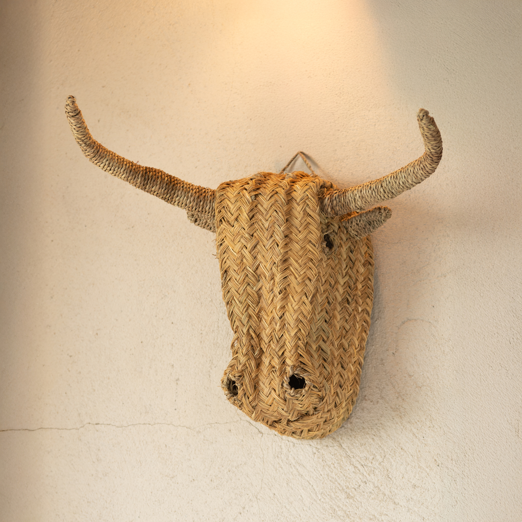 Déco murale tête de bœuf en paille XL — vue 4