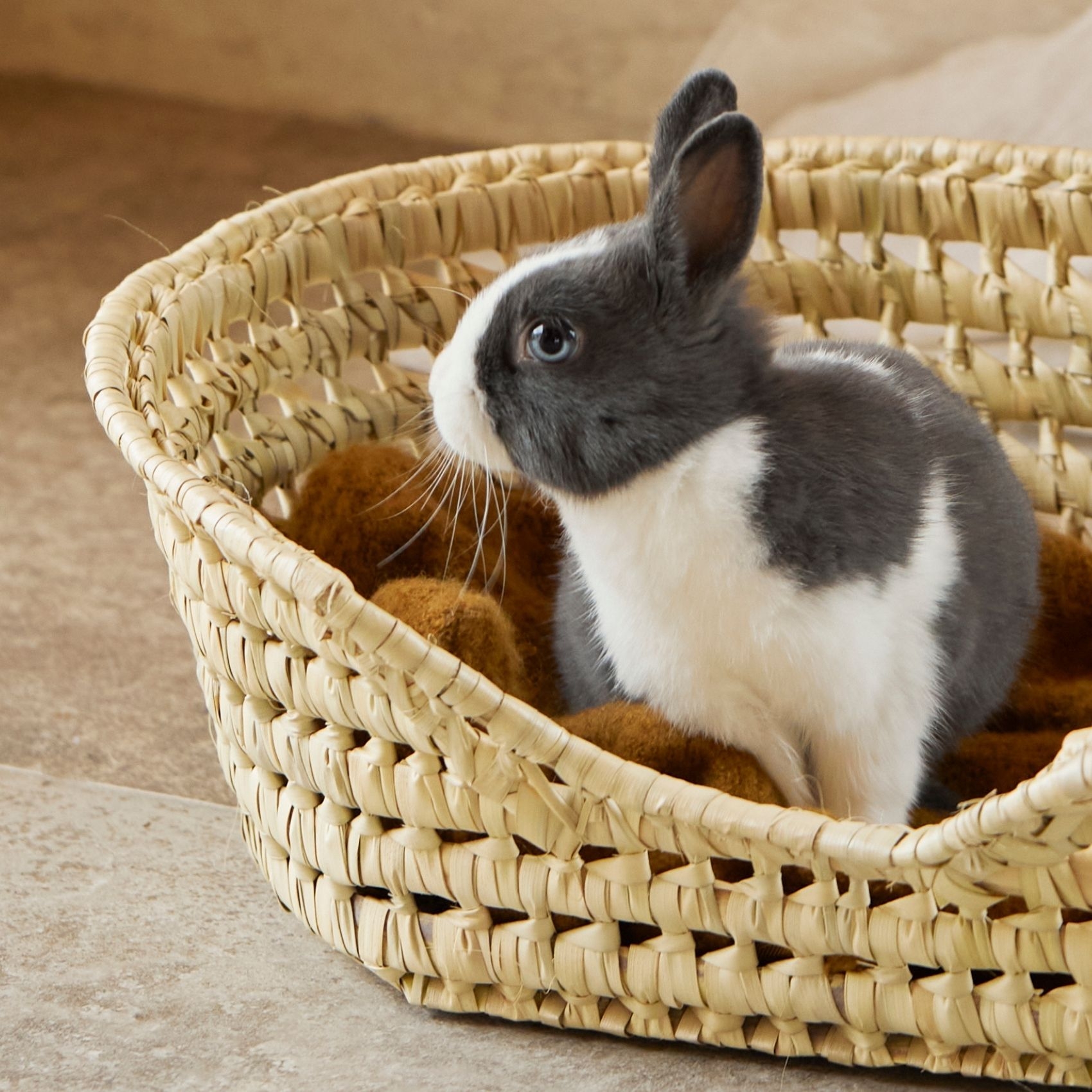 Panier Osier pour petit chien — vue 3