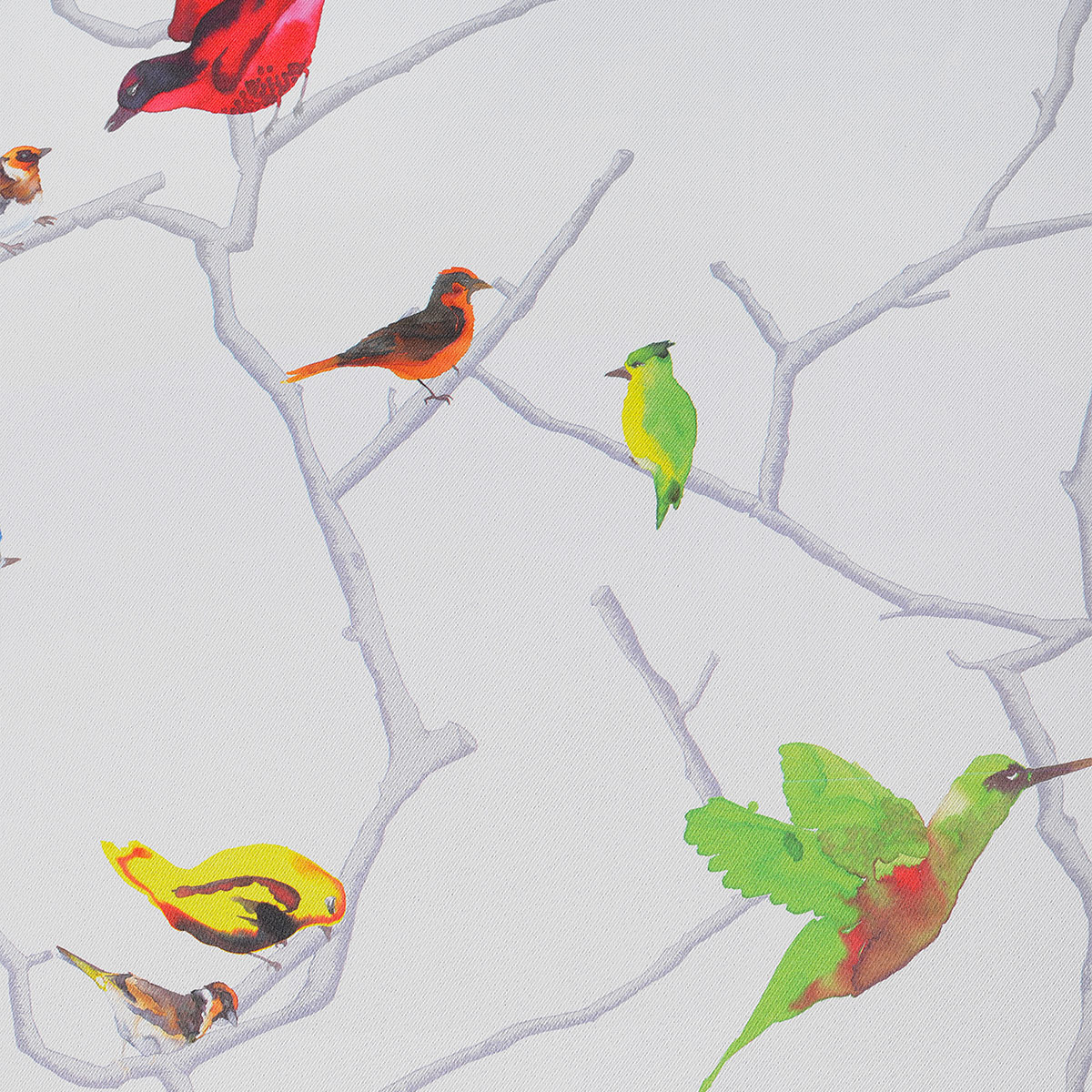 Tissu obscurcissant bucolique imprimé colibri