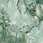 Papiers peints natures