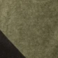 Kaki