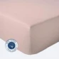 Rose Blush