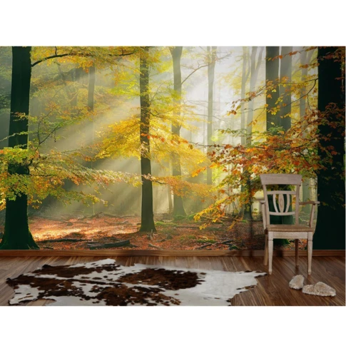 Papier-peint panoramique Forest
