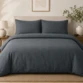 Gris anthracite