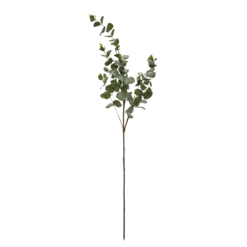 BRANCHE EUCALYPTUS