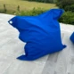 Bleu Roi