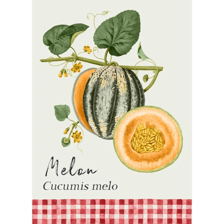 Set de 3 paños de cocina con diseño de frutas