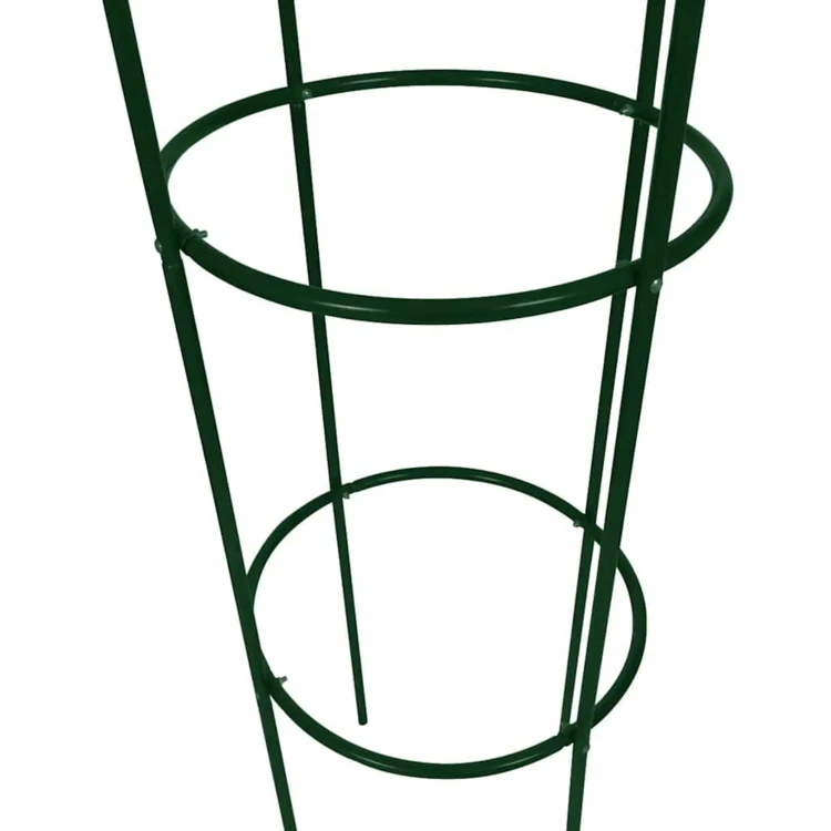 Arche de jardin en métal pour plantes
