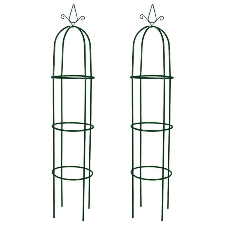 Arche de jardin en métal pour plantes