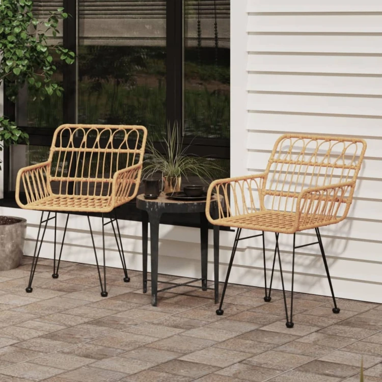 Lot de 2 chaises de jardin avec accoudoirs