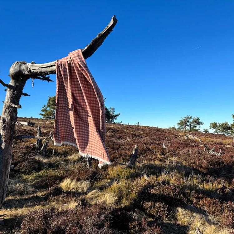 Vichy-Jacquard-Plaid aus Baumwolle