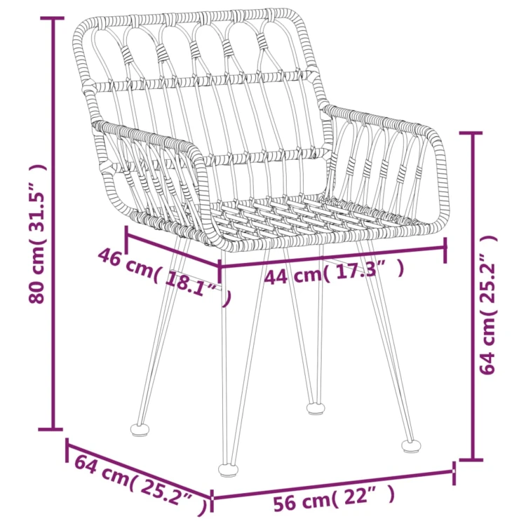 Lot de 2 chaises de jardin avec accoudoirs