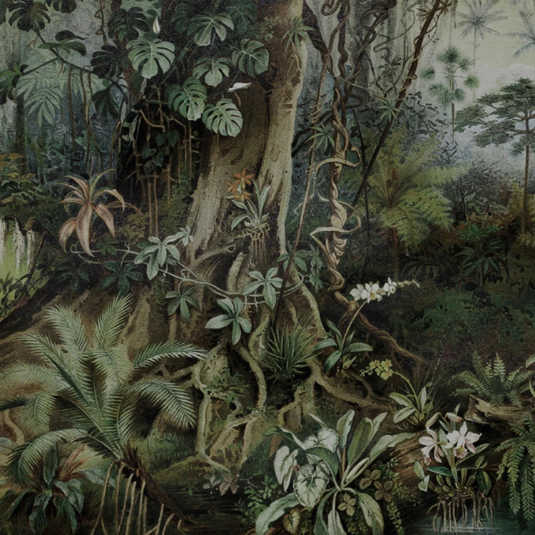 Papier peint panoramique au cœur de la jungle
