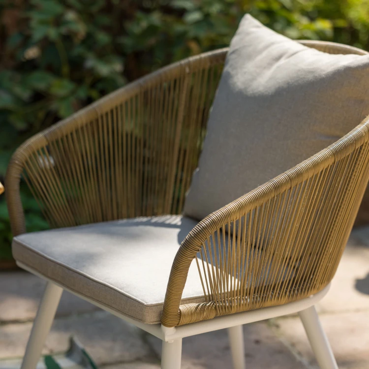 Duo de fauteuils en résine et cordes