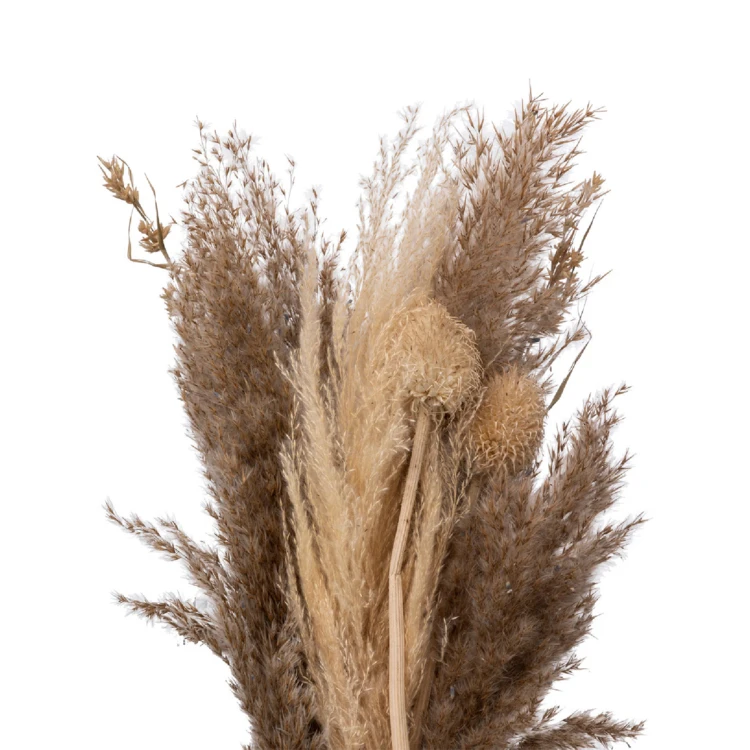 Bouquet de pampas séchées