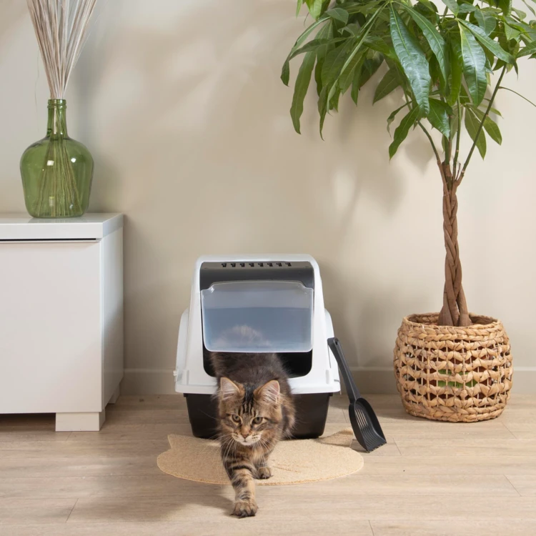 Maison de toilette pour chat avec pelle et filtre