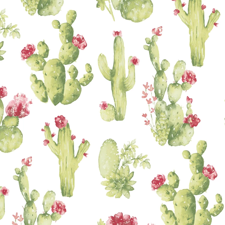 Papier peint cactus